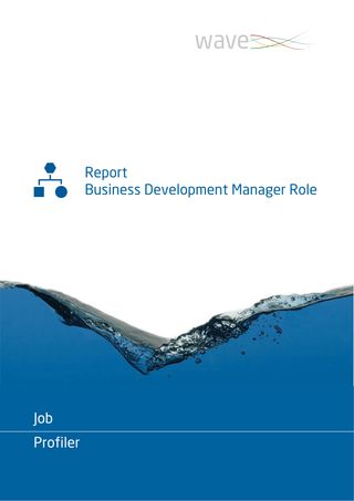 Saville Wave Job Profiler - Exemple de rapport page 1