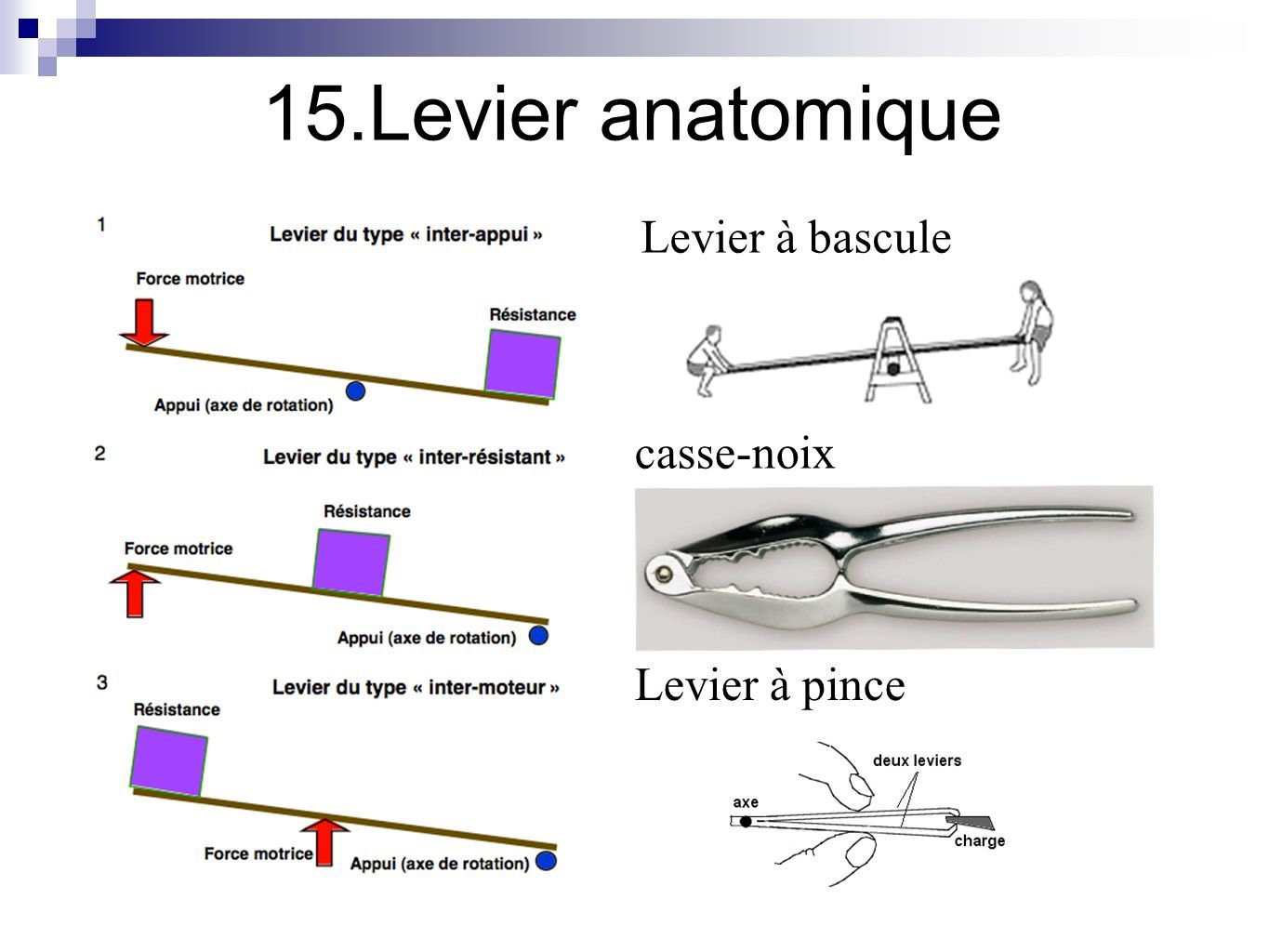 Exemples de leviers dans les exercices de raisonnement mécanique