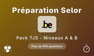 Test de jugement situationnel Travaillerpour.be - Niveaux A et B